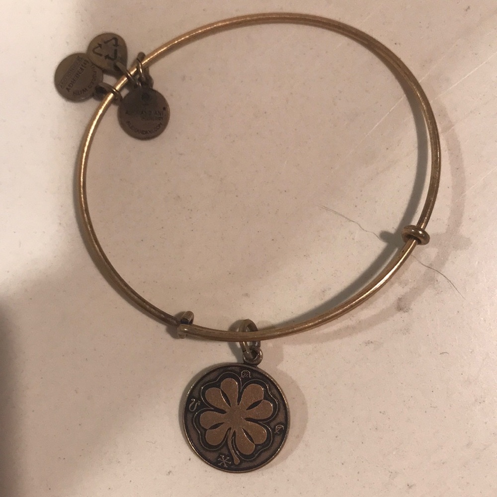 Alex and Ani bangle